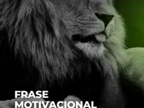 Story do instagram frase motivacional simples preto e branco